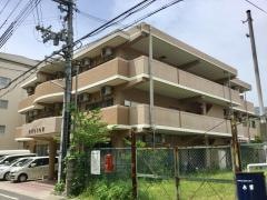 ひまわりの家