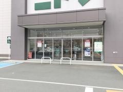 ニトリ　大船店