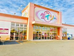 ザ・ダイソー　高萩安良川店