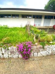 二の宮公園