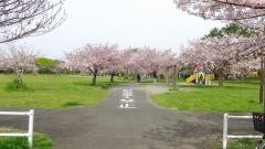 袖ケ浦西近隣公園