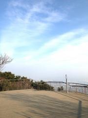掬星台