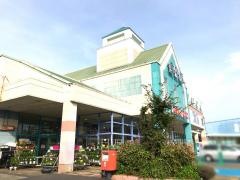 マルナカ　南国店