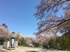 観音山グリーンパーク