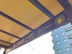 「鶴丸高校前」バス停留所