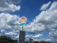 「本町７」バス停留所