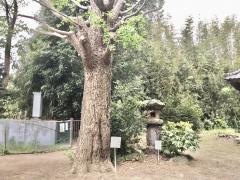 中島榛名神社