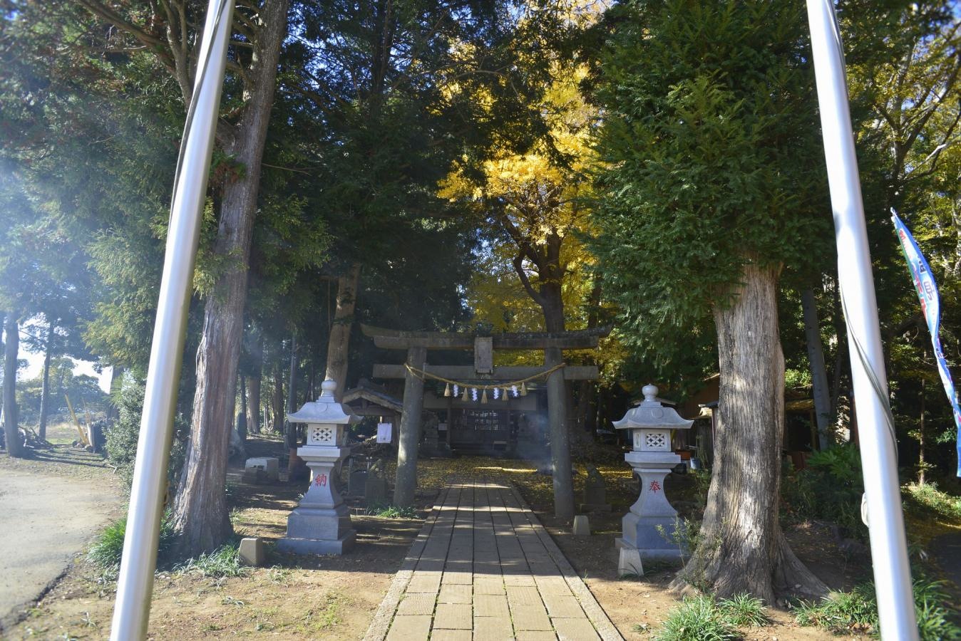 入口