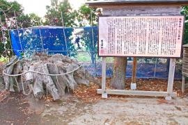 飯玉神社