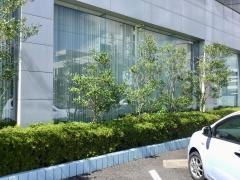 栃木銀行真岡支店