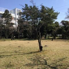 神根公園