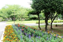 元渕江公園