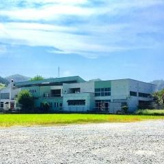 みずほ幼稚園