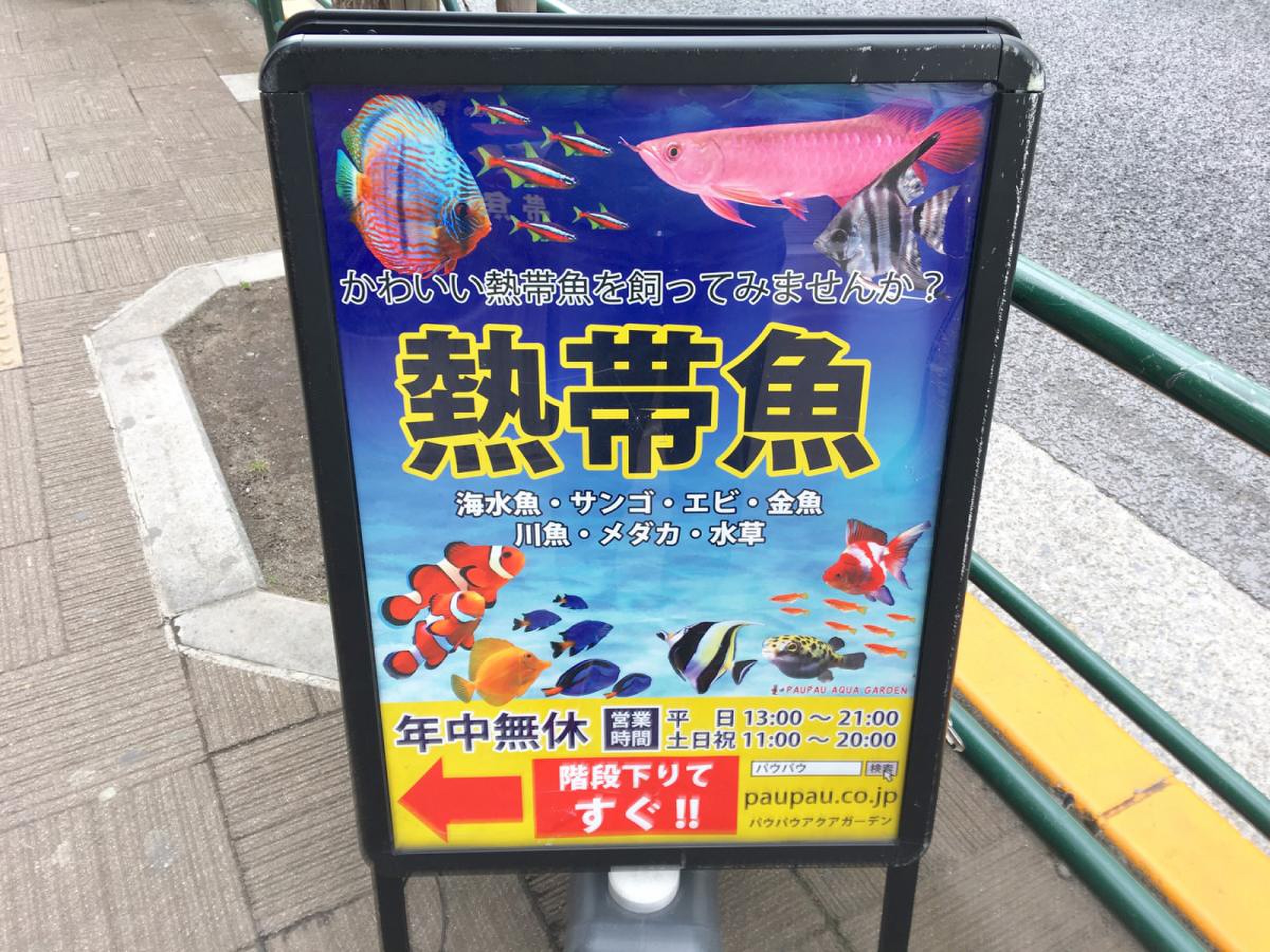 パウパウ アクア ガーデン 新宿