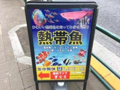 パウパウアクアガーデン新宿店