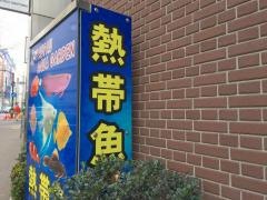 パウパウアクアガーデン新宿店