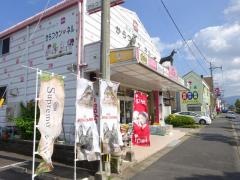 からつケンネル