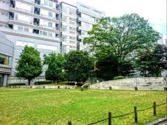 熊本中央病院