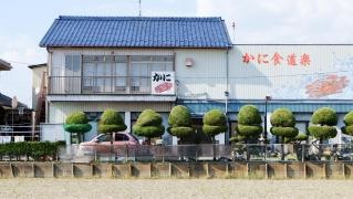 魚辻