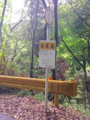 「岩尾滝」バス停留所