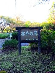 伊佐須美神社　あやめ苑