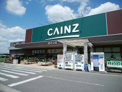 カインズ　寄居桜沢店