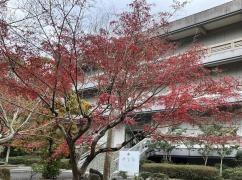 宗像大社　神宝館