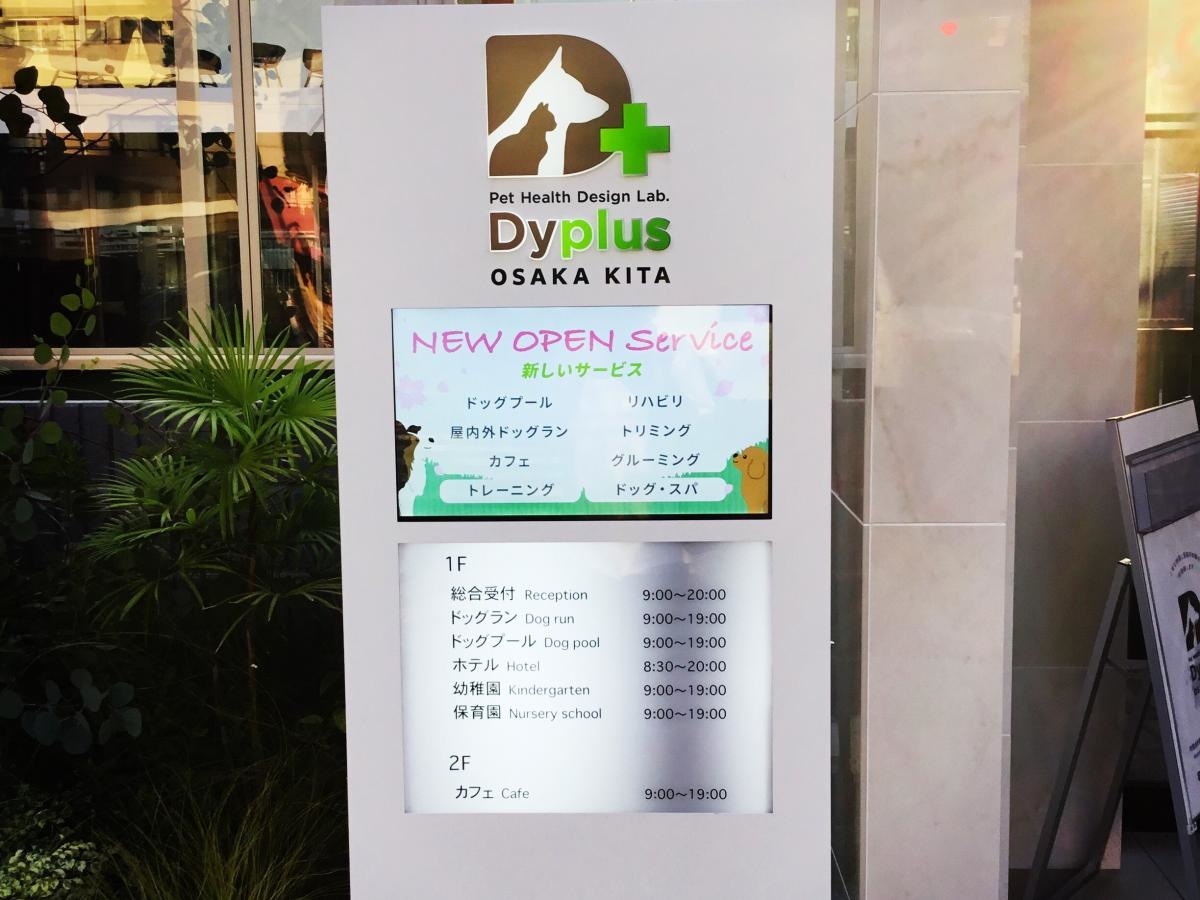 Dyplus