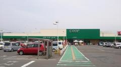 コープ　愛子店