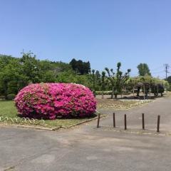 金川近隣公園
