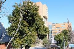 日本女子大学　目白キャンパス