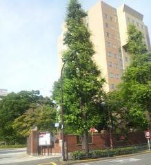 日本女子大学　目白キャンパス