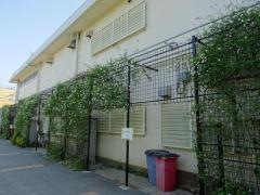 認定こども園やはたみずのとう幼稚園