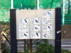 大島緑道公園