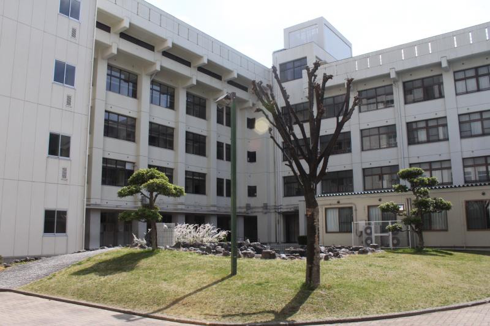 大阪 市立 五条 小学校