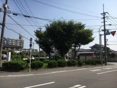 萩原10号緑地