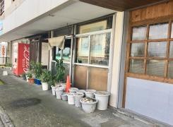 嵯峨