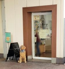 ドッグサロンパピーラブ