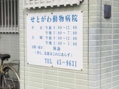 せとがわ動物病院