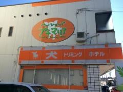 プチマリア金沢店