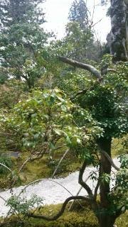 那谷寺庫裡庭園