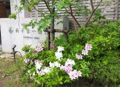 特別養護老人ホーム新千葉一倫荘