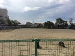 松ケ浜小学校