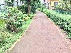狭山ケ丘第1緑地