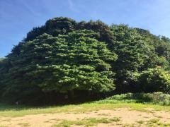 岡山公園
