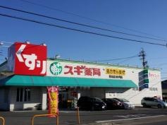 スギ薬局　青木店