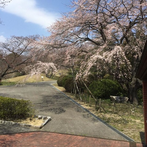 施設写真40