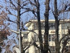 香住丘小学校