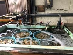 萩の茶屋