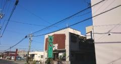 若菜